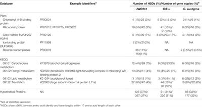 HSDFinder: A BLAST-Based Strategy for Identifying Highly Similar Duplicated Genes in Eukaryotic Genomes